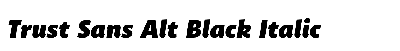 Trust Sans Alt Black Italic